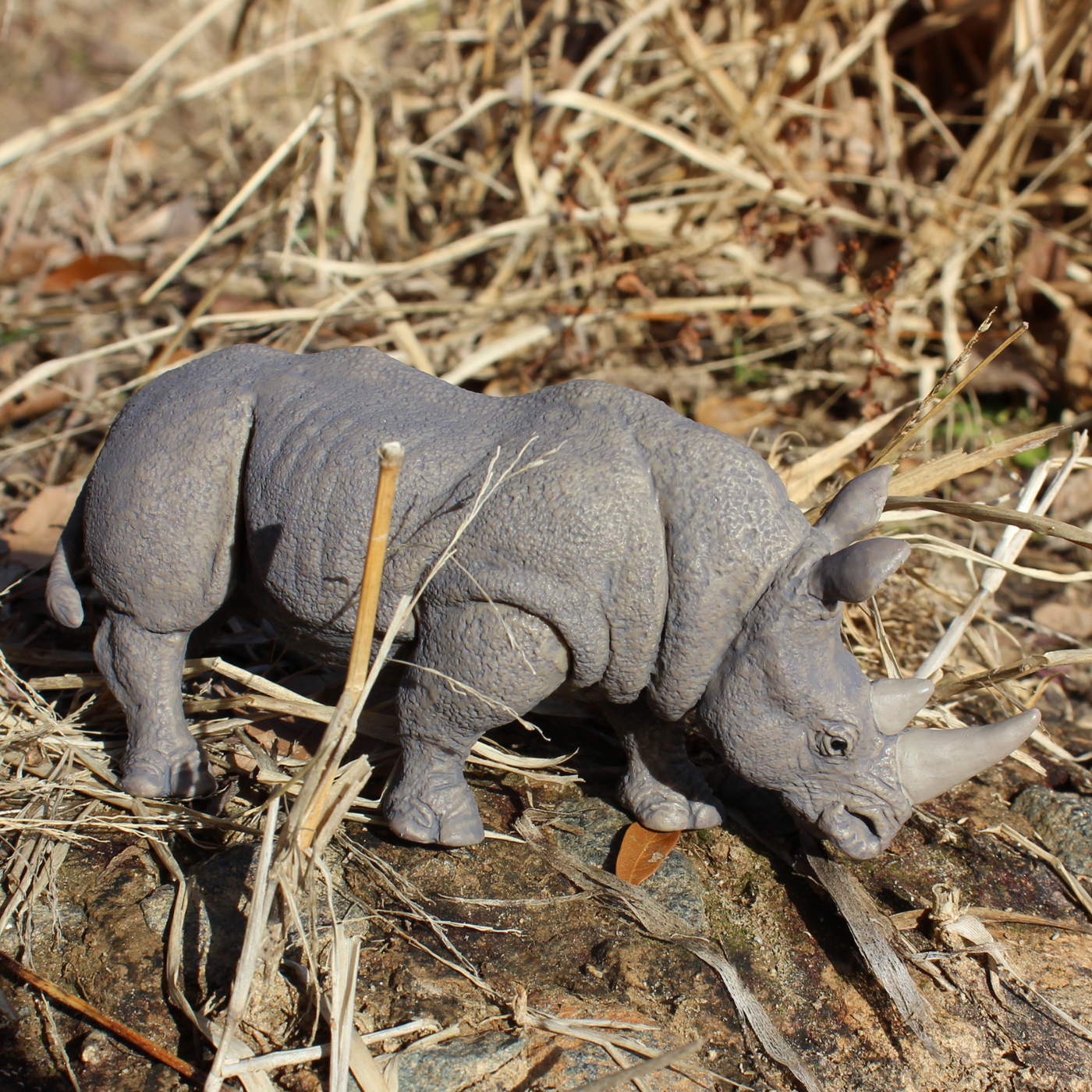 White Rhino Toy | Wildlife Animal Toys | Safari Ltd®