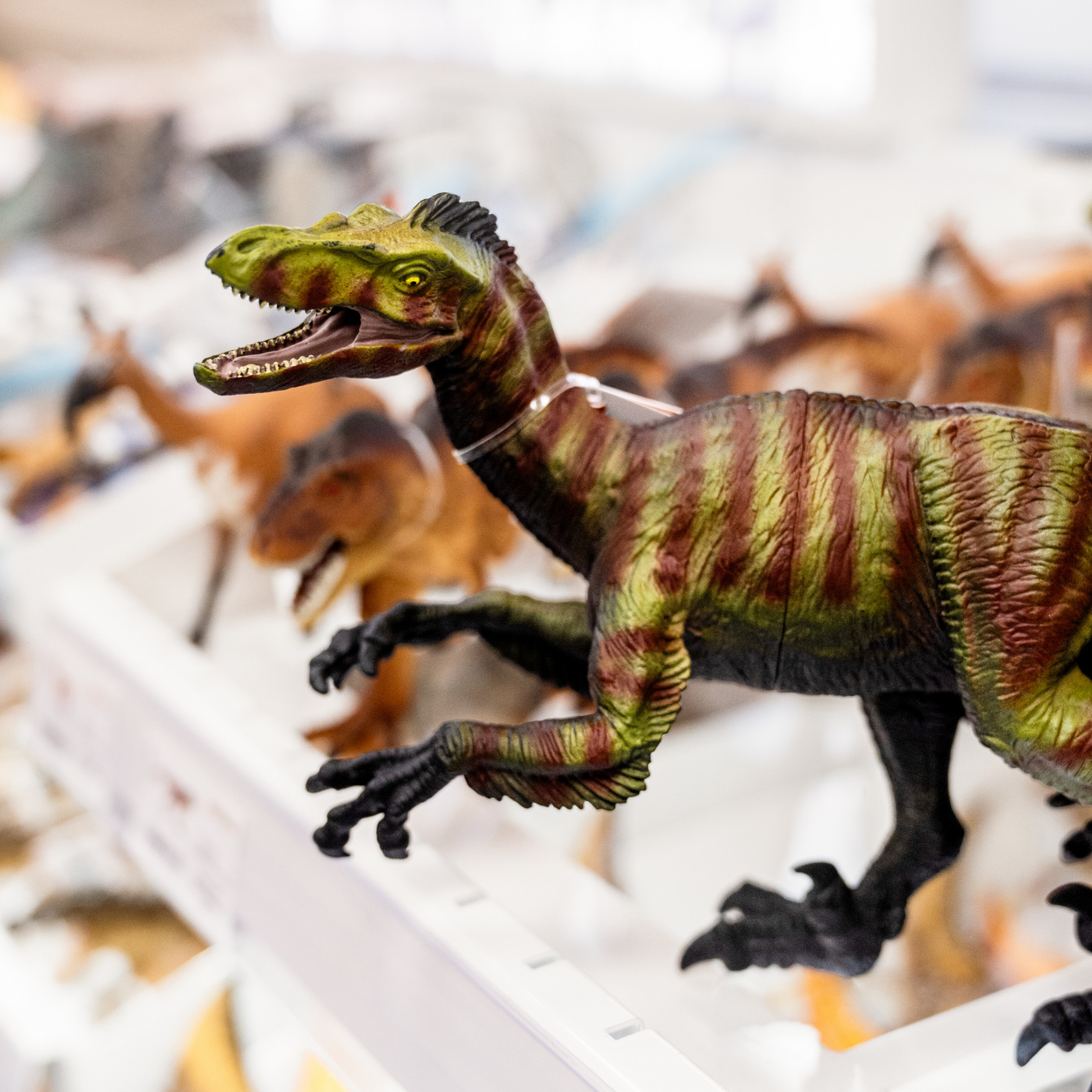 Velociraptor Toy Dinosaur Toys Safari Ltd®