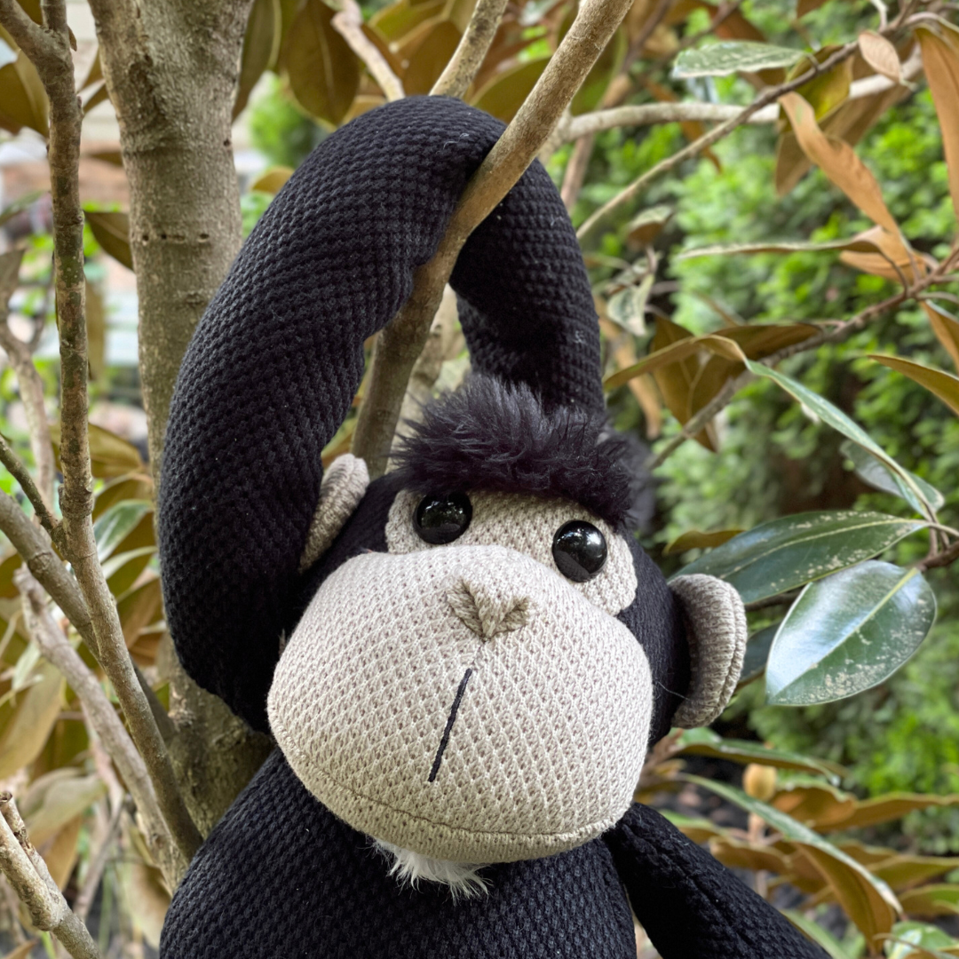 Jane's Greybeard the Chimpanzee - Full Size Plush Toy | Safari Ltd®