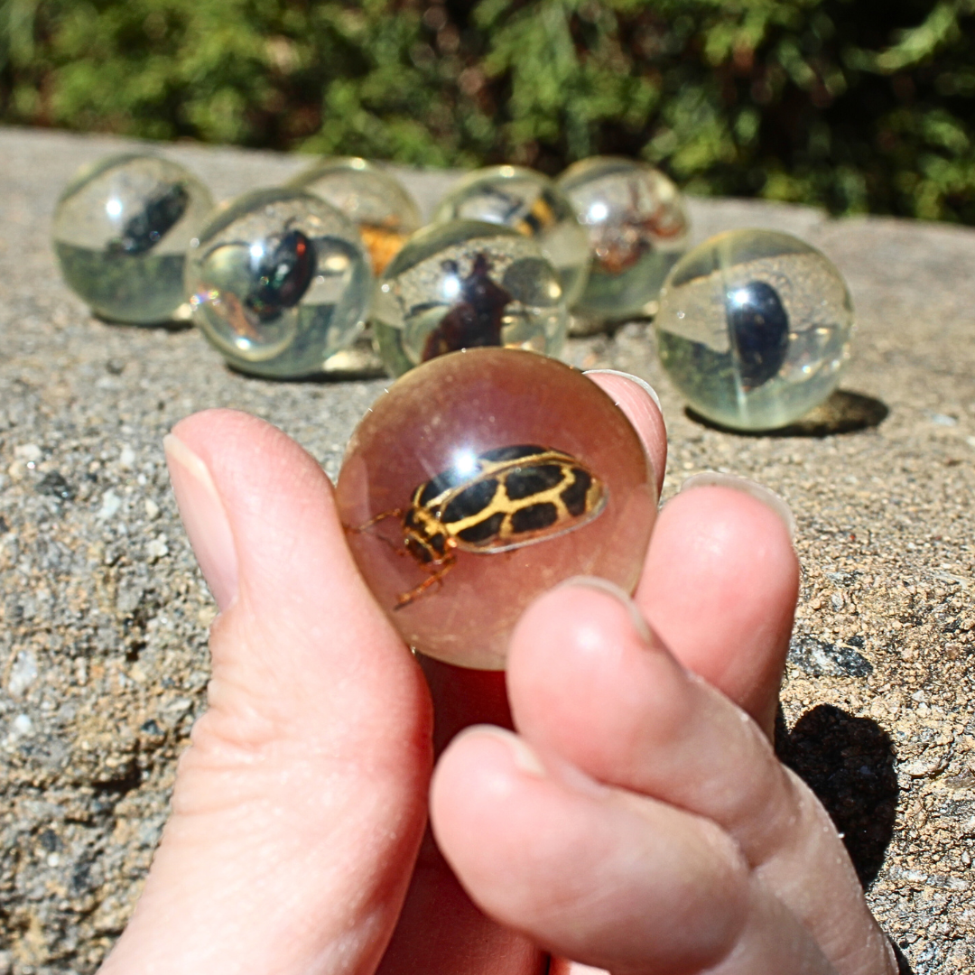Travel Bug Marble Safari Ltd Geoworld Bug Marbles | Safari Ltd®