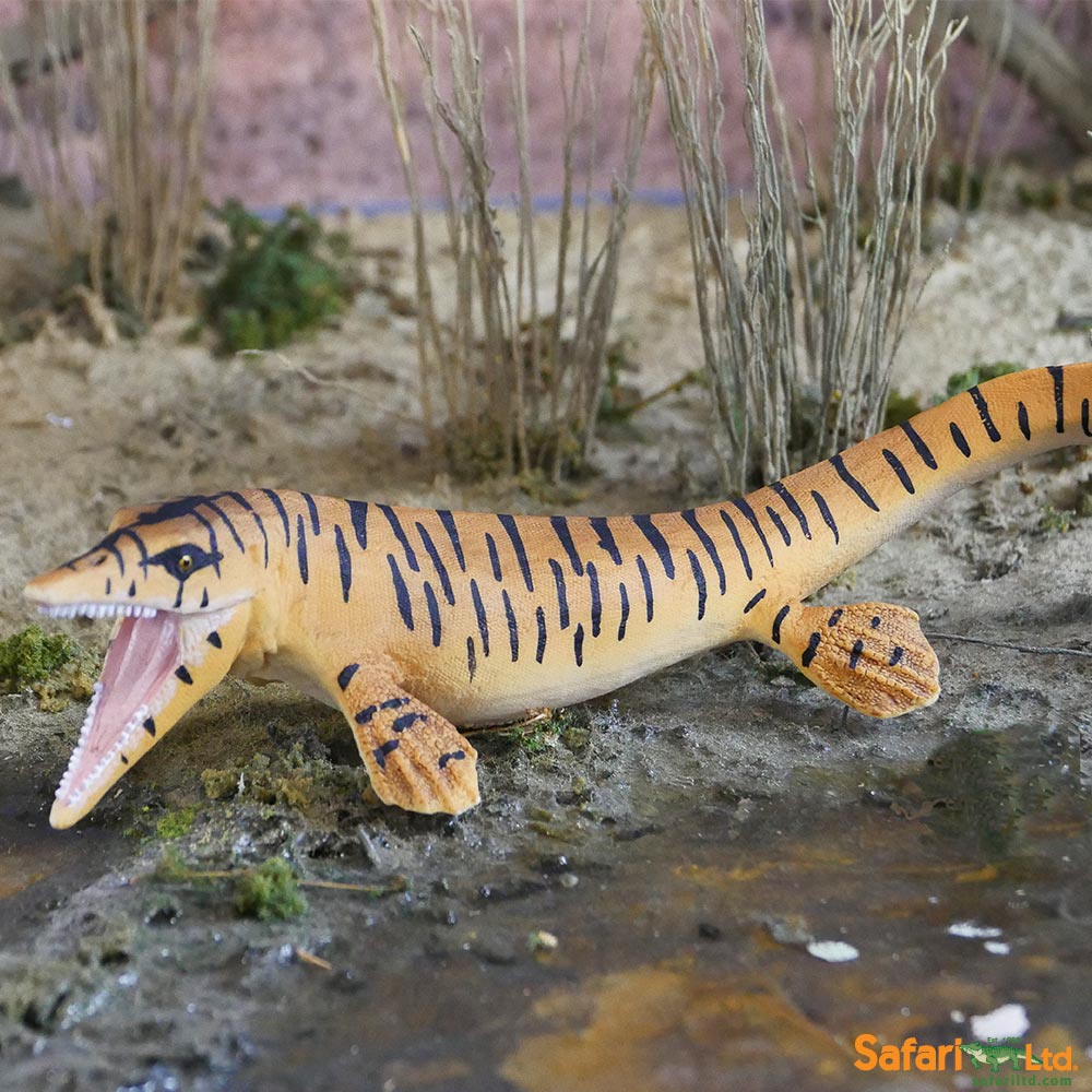 Tylosaurus Toy | Dinosaur Toys | Safari Ltd®