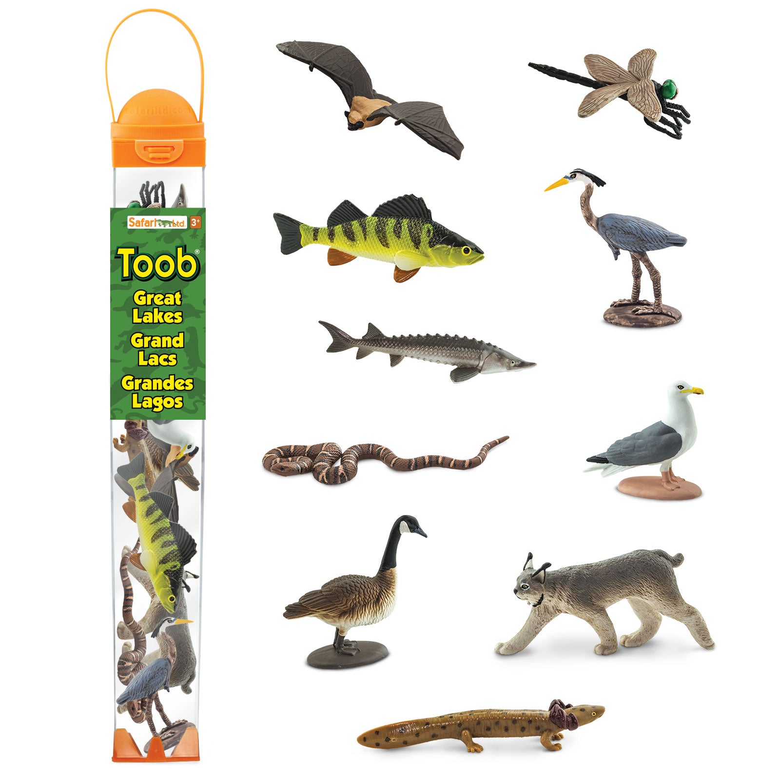 Great Lakes Animal Toys TOOB® | Safari Ltd®