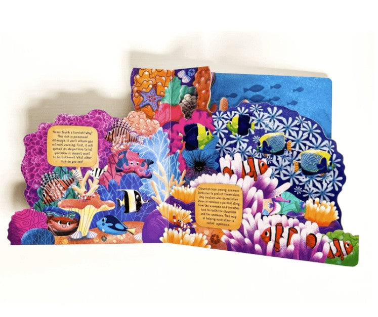 Board Book - Coral Reef Layered |  | Safari Ltd®