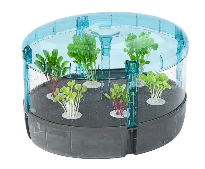 The Thames & Kosmos Hydroponics Lab is a round, transparent blue planter featuring a black base and six small green plants growing from white holders, filled with water droplets inside—an ideal hands-on STEM kit for exploring hydroponic gardening in a classroom or home lab.