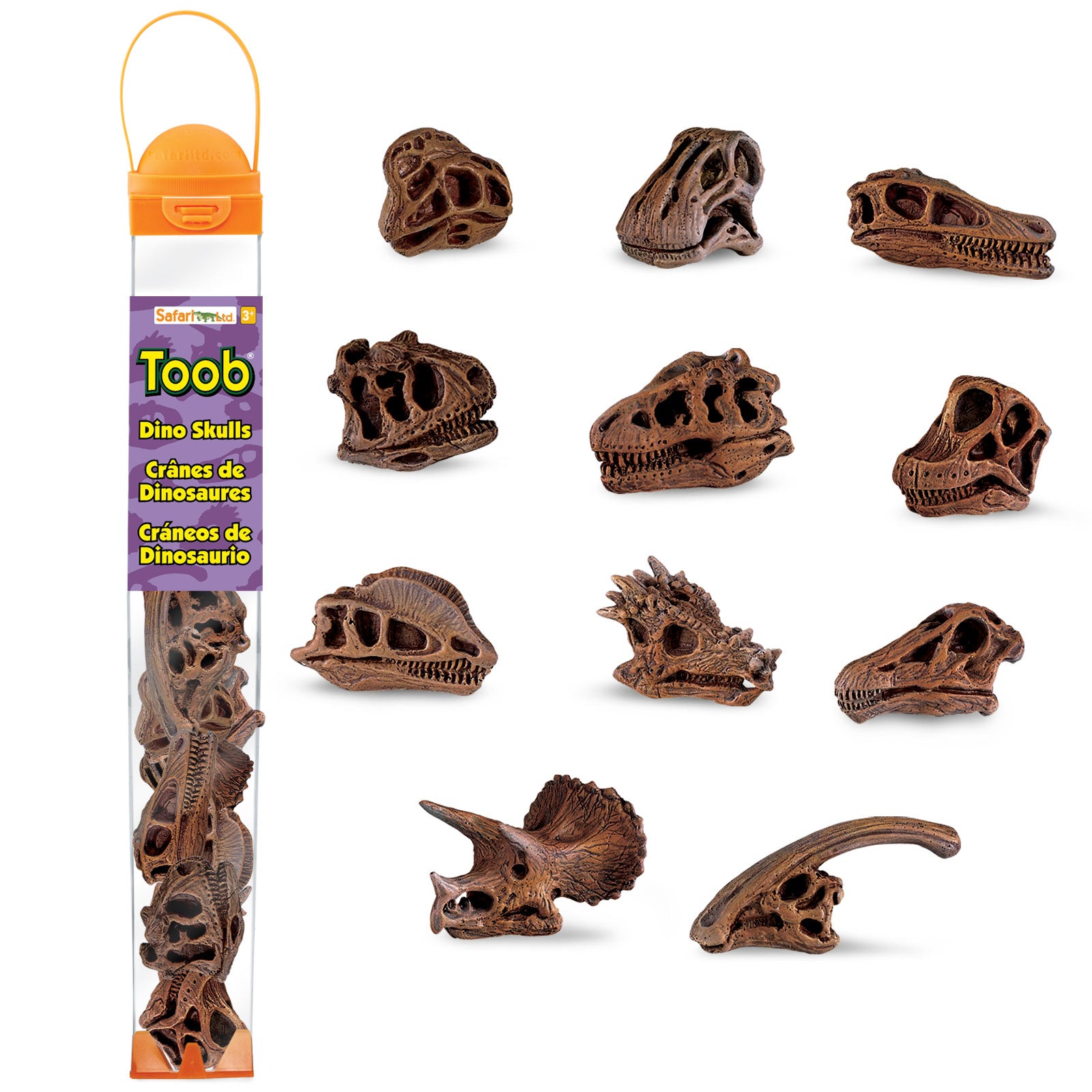 Dinosaur Skull Toy TOOB® | Safari Ltd®