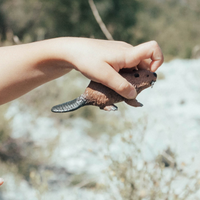 Beaver Toy | Wildlife Animal Toys | Safari Ltd®