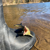 Mosasaurus Toy Figure