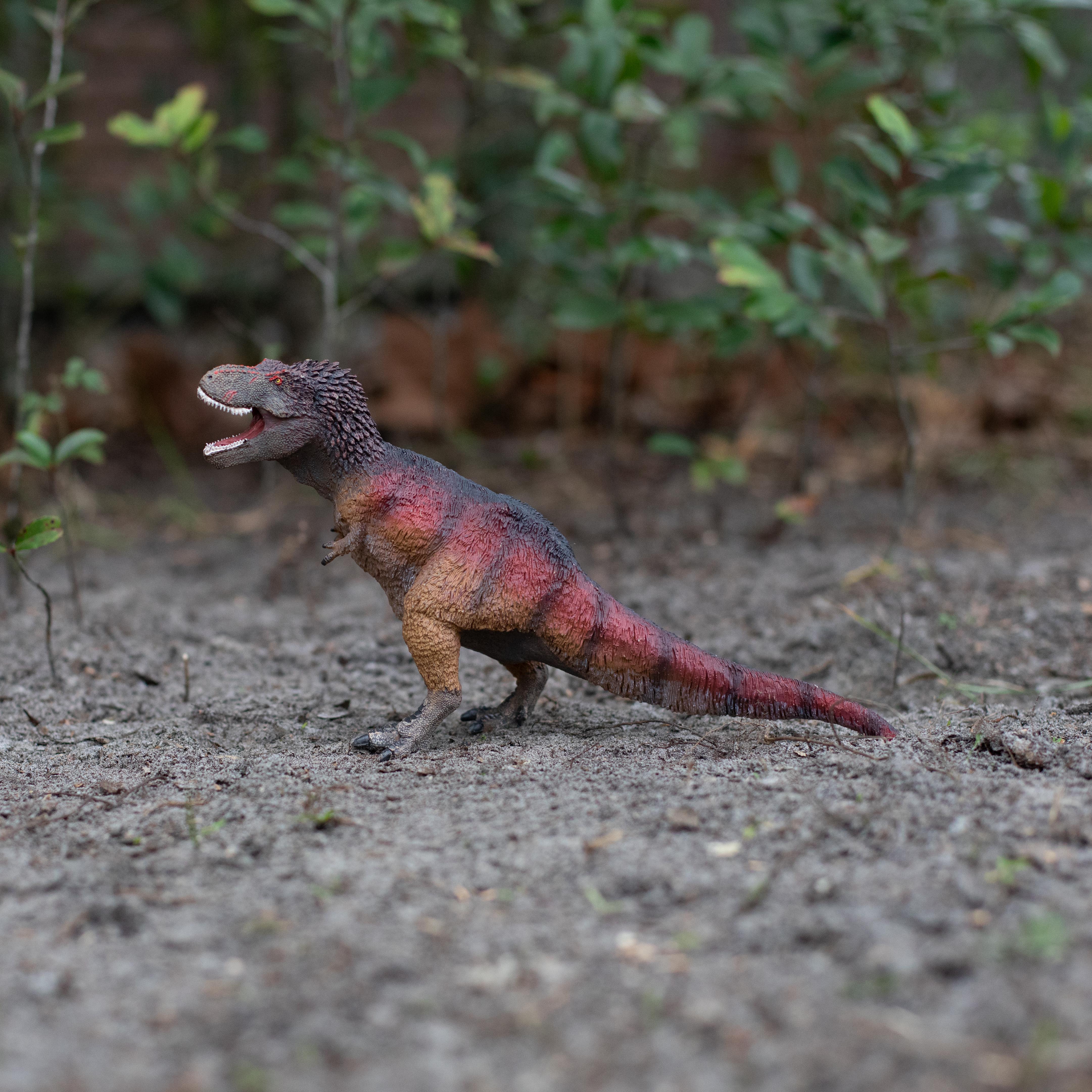 Safari LTD Feathered Tyrannosaurus Rex
