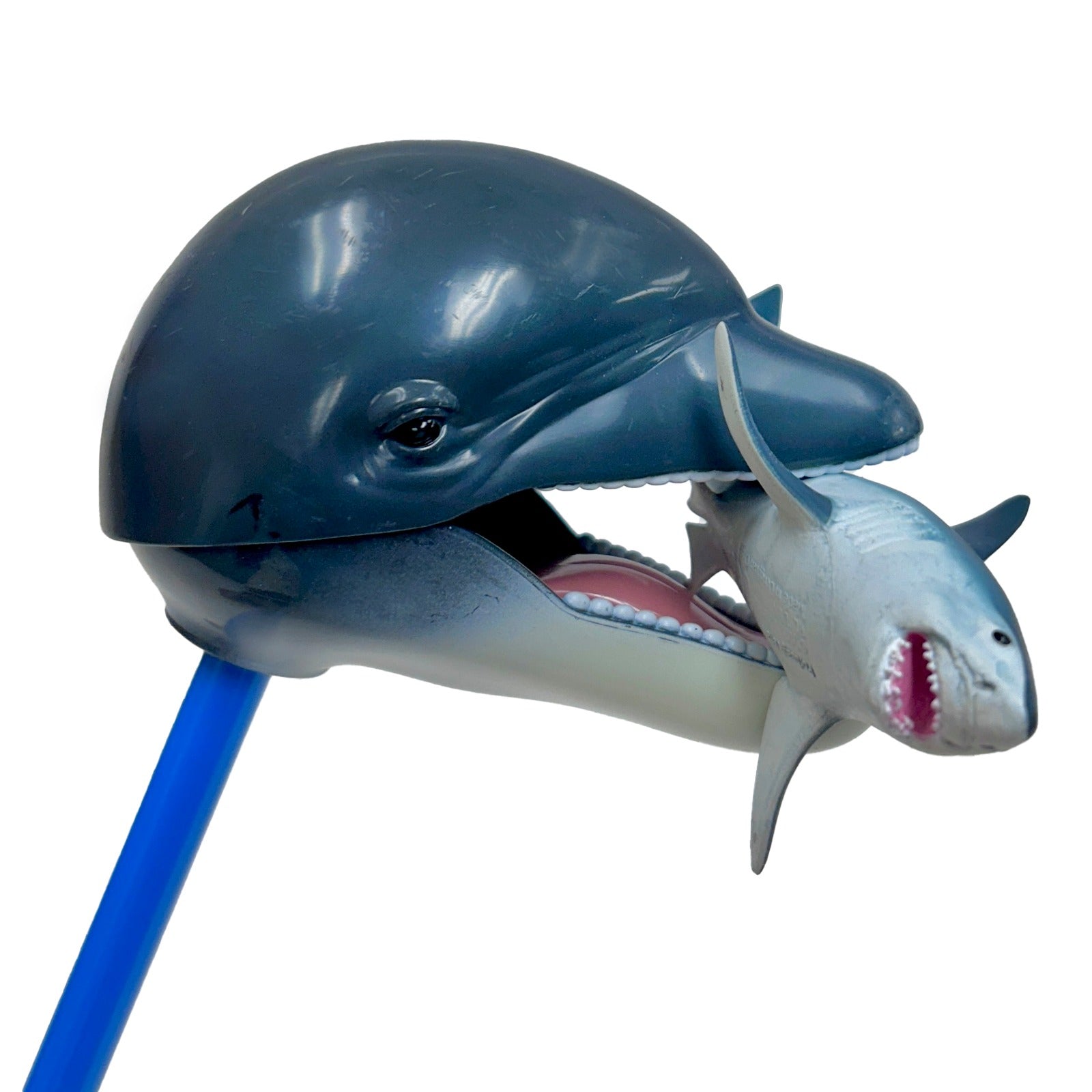 Dolphin Snapper | Safariology® | Safari Ltd®