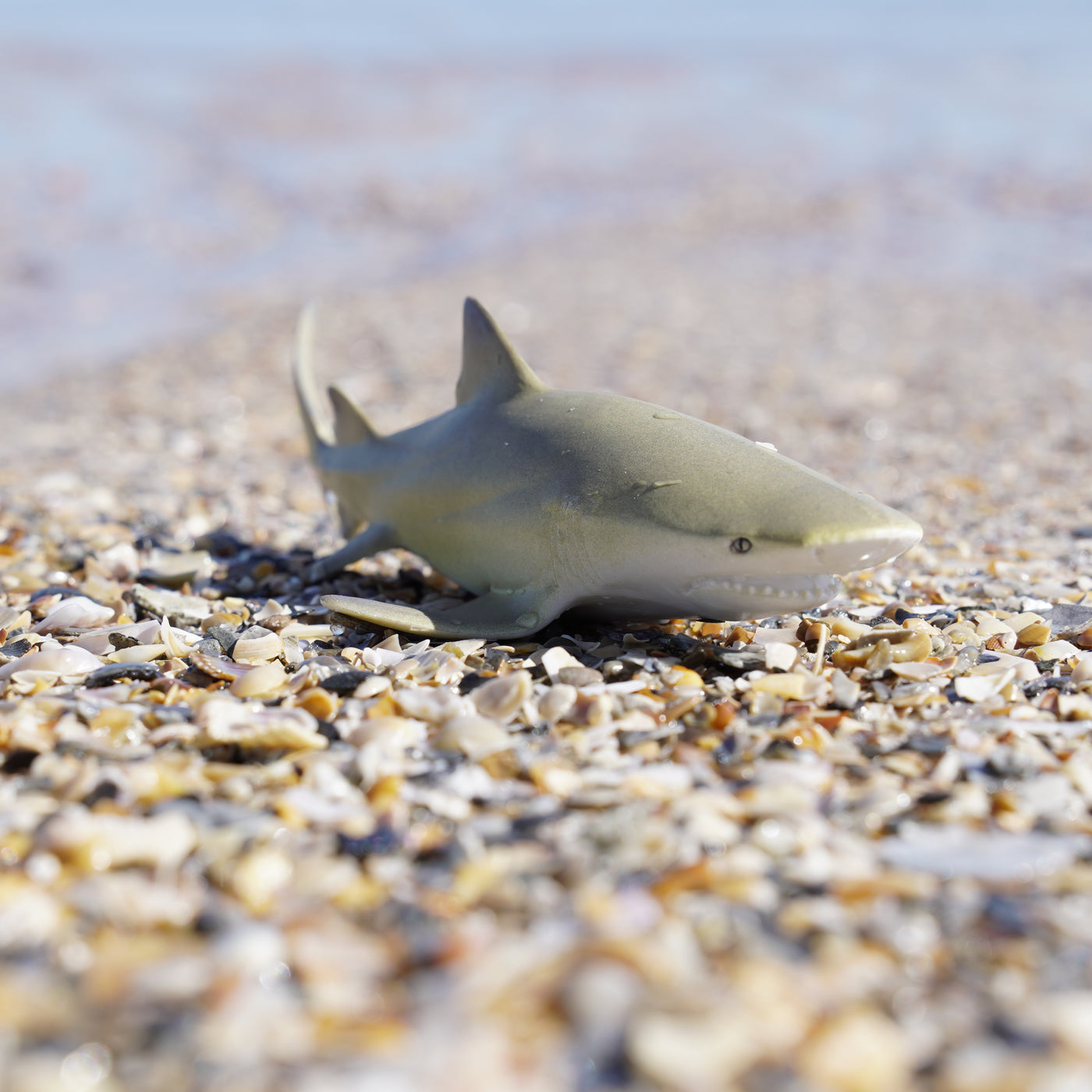 Lemon Shark Toy | Sea Life | Safari Ltd®