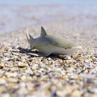Lemon Shark Toy | Sea Life | Safari Ltd®