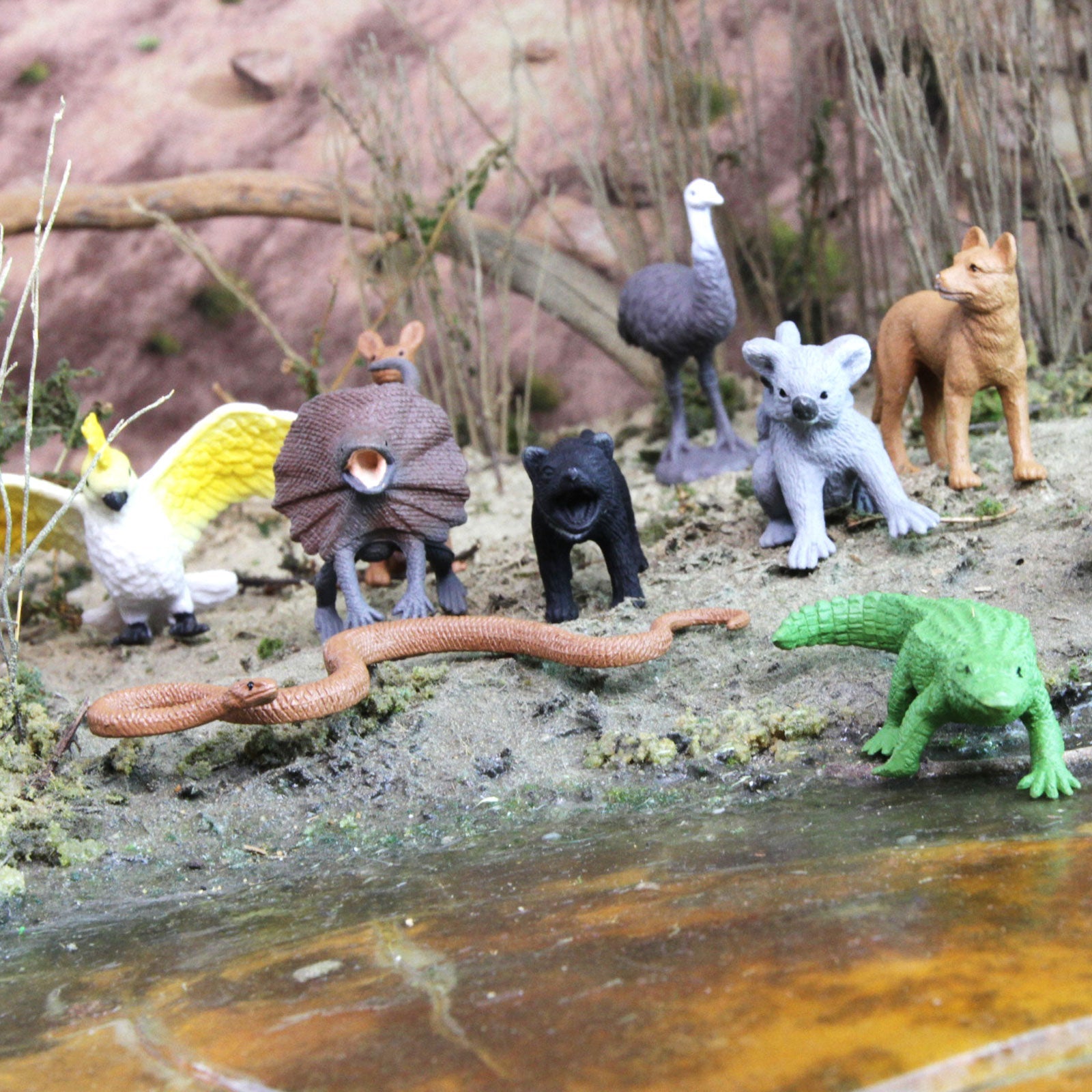 Australian Animal Toys TOOB® | TOOBS® - Mini Toys | Safari Ltd®
