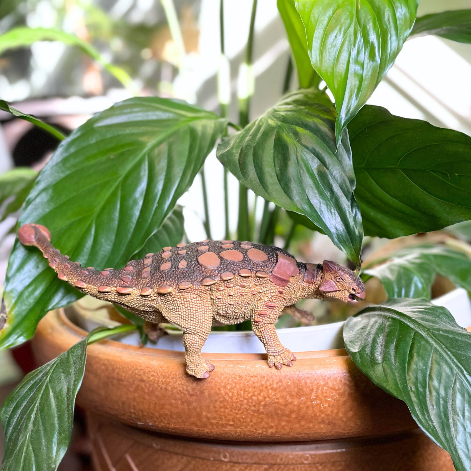 Ankylosaurus Toy | Dinosaur Toys | Safari Ltd®