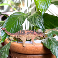 Ankylosaurus Toy | Dinosaur Toys | Safari Ltd®