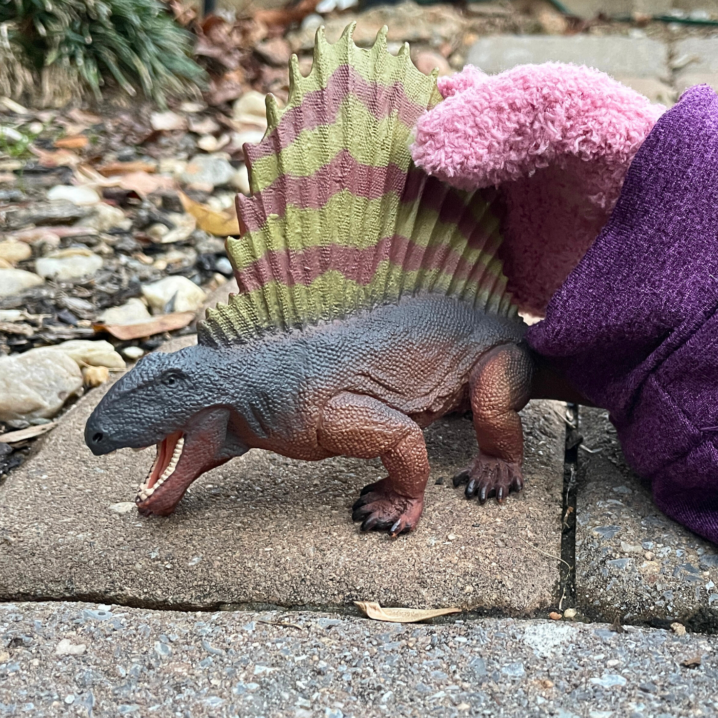 Dimetrodon Toy | Dinosaur Toys | Safari Ltd®