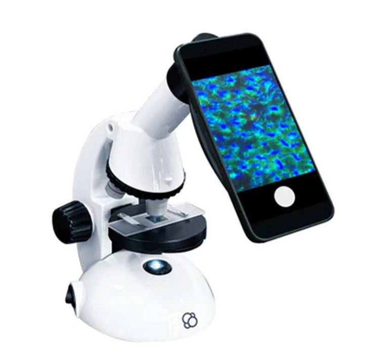 The Thames & Kosmos Microscope with Smartphone Adapter displays magnified blue and green cells on your phone, making STEM learning engaging and interactive.