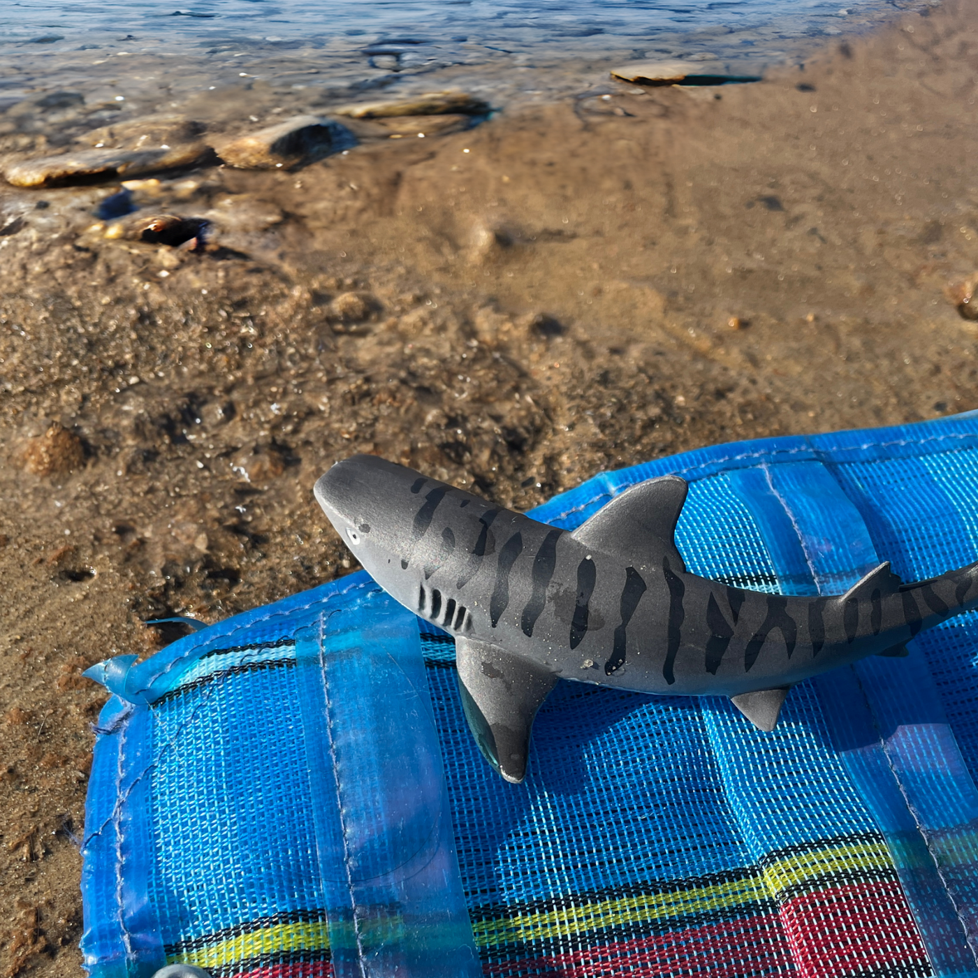 Tiger Shark Toy | Sea Life | Safari Ltd®