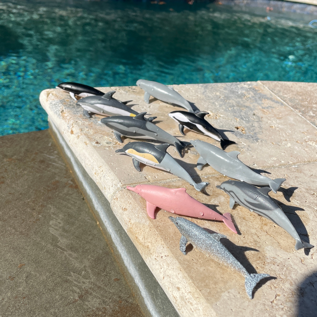 Dolphins TOOB® | TOOBS® - Mini Toys | Safari Ltd®