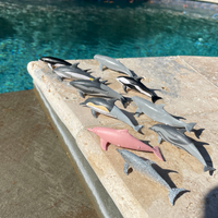 Dolphins TOOB® | TOOBS® - Mini Toys | Safari Ltd®