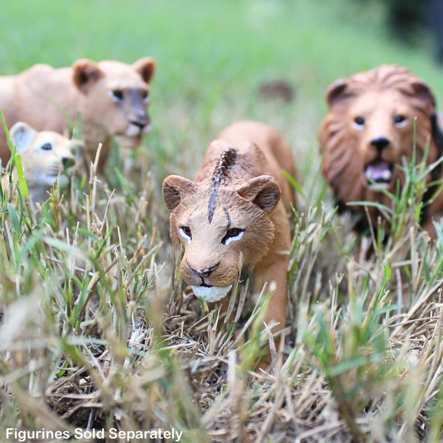 Adolescent Male Lion Toy Figure |  | Safari Ltd®