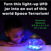 Crystal Space Terrarium | Arts & Entertainment | Safari Ltd®