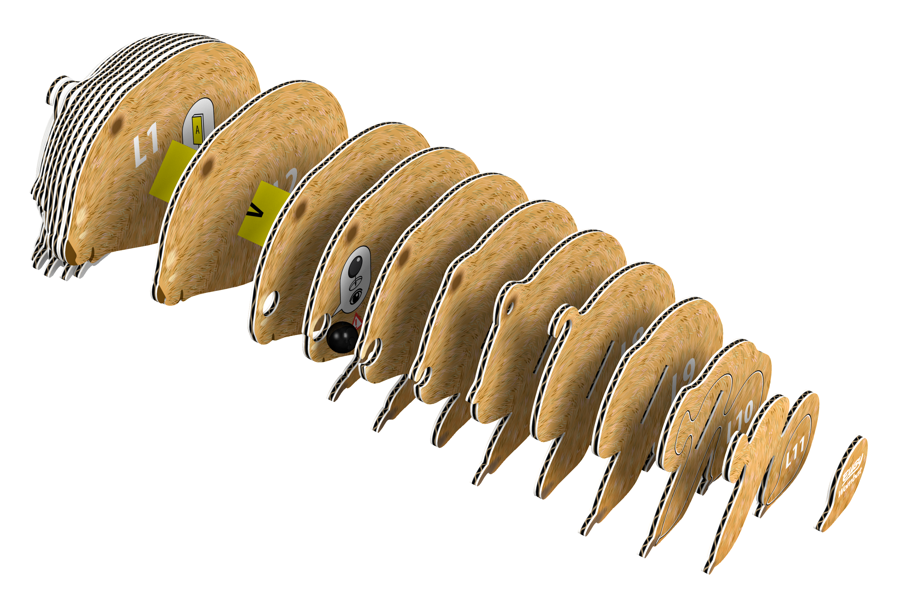 EUGY Wombat 3D Puzzle | Eugy | Safari Ltd®