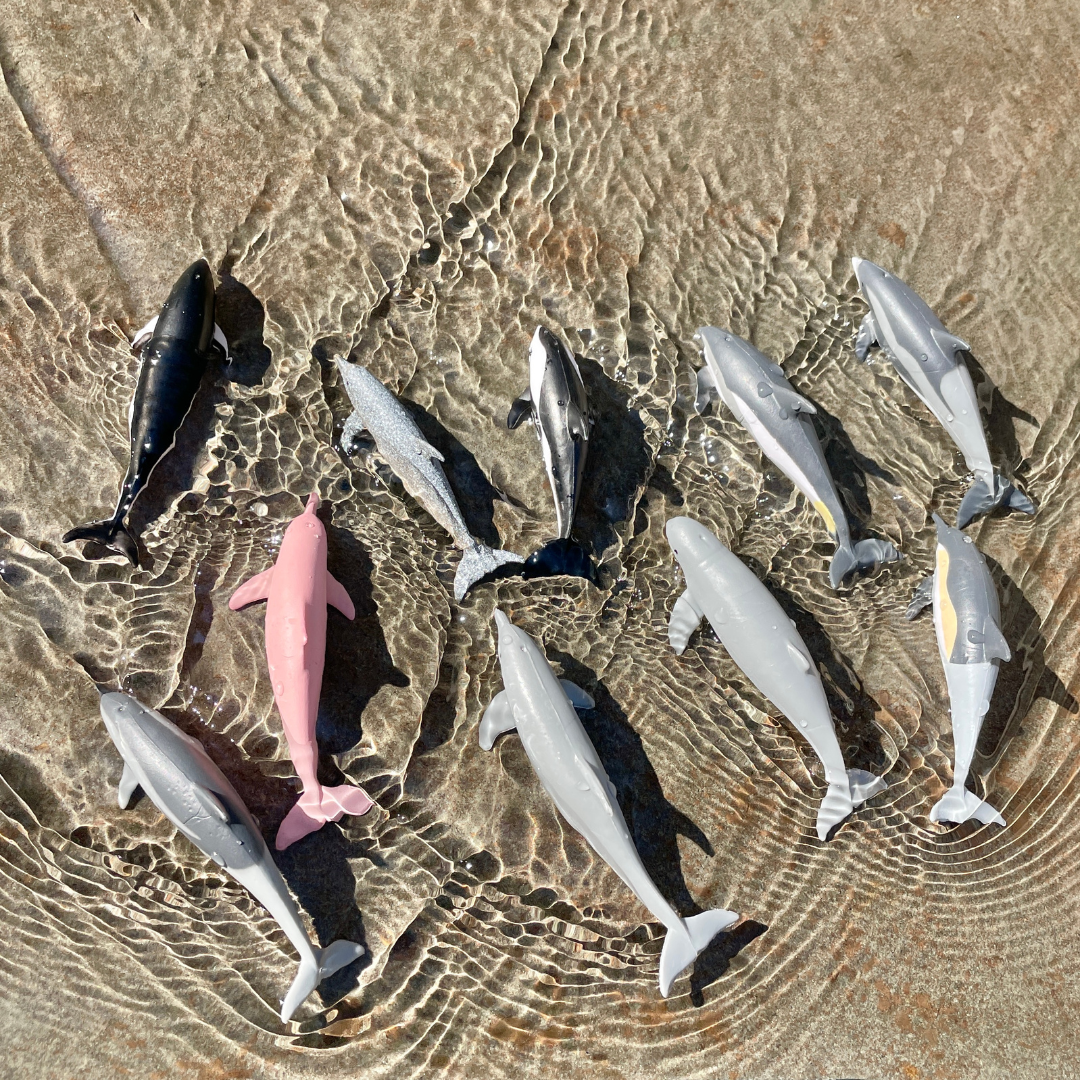 Dolphins TOOB® | TOOBS® - Mini Toys | Safari Ltd®