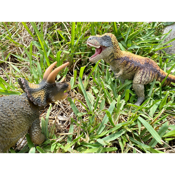  Safari Ltd. Dino Dana Feathered T-Rex Figurine - Detailed 12  Plastic Model Figure - Fun Educational Dinosaur Play Toy for Boys, Girls &  Kids Ages 3+ : Toys & Games