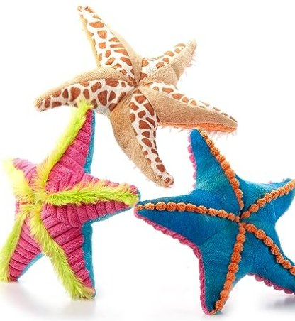 12" (26cm) Wild Onez Starfish Asst Small - Safari Ltd®