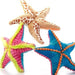 12" (26cm) Wild Onez Starfish Asst Small - Safari Ltd®