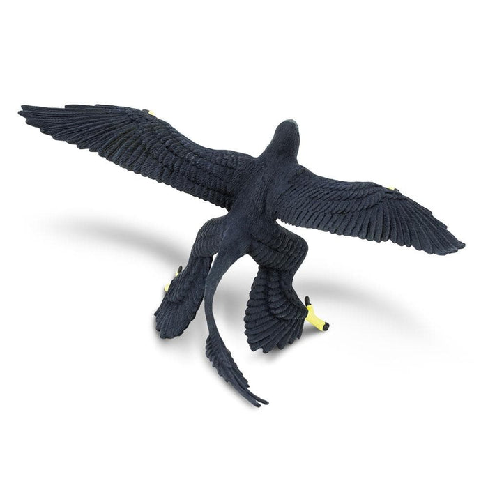Microraptor Toy | Dinosaur Toys | Safari Ltd.