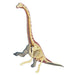 4D Vision Brachiosaurus Anatomy Model - Safari Ltd®