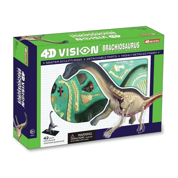 4D Vision Brachiosaurus Anatomy Model - Safari Ltd®