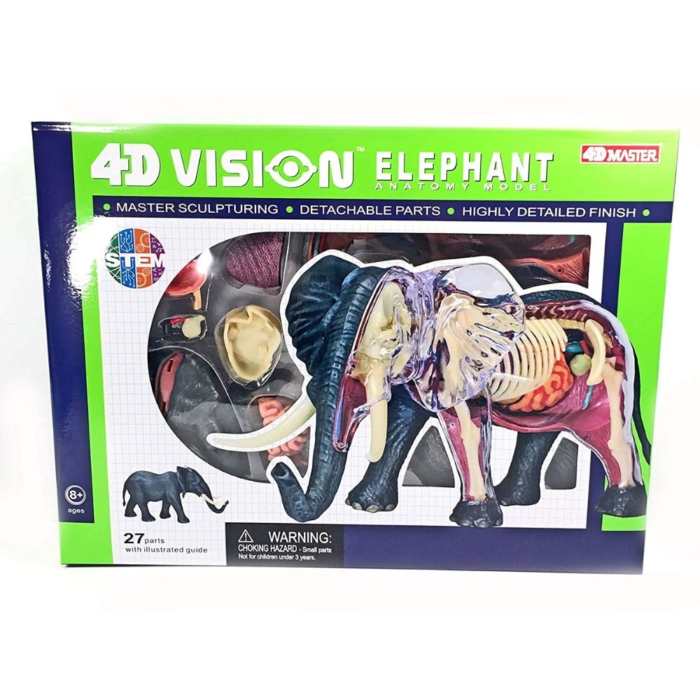 4D Elephant Anatomy Model | Safari Ltd®