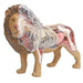 4D Vision Lion Anatomy Model - Safari Ltd®