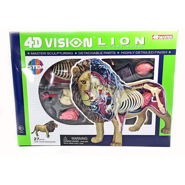 4D Vision Lion Anatomy Model - Safari Ltd®