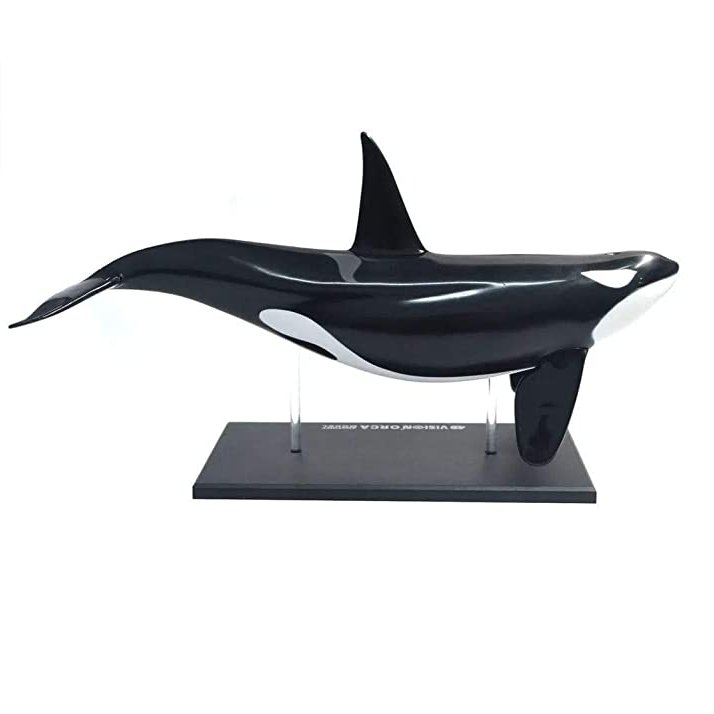 新品未開封 4Dビジョン オルカ 解剖モデル 4D VISION Orca