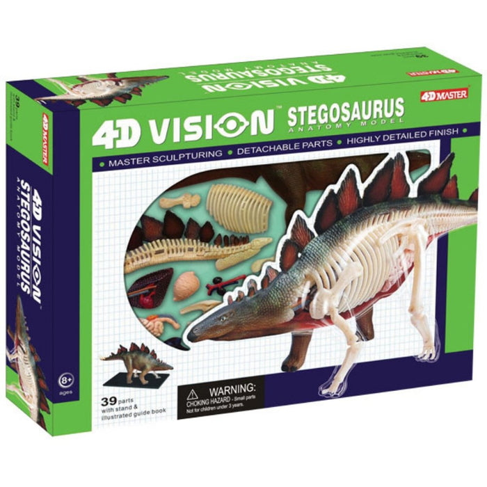 4D Vision Stegosaurus Anatomy Model - Safari Ltd®
