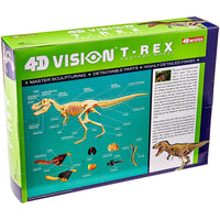 4D Vision T-Rex Anatomy Model - Safari Ltd®