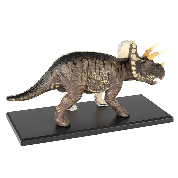 4D Vision Triceratops Anatomy Model - Safari Ltd®