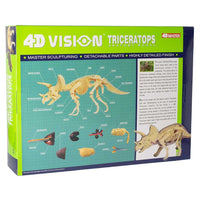 4D Vision Triceratops Anatomy Model - Safari Ltd®