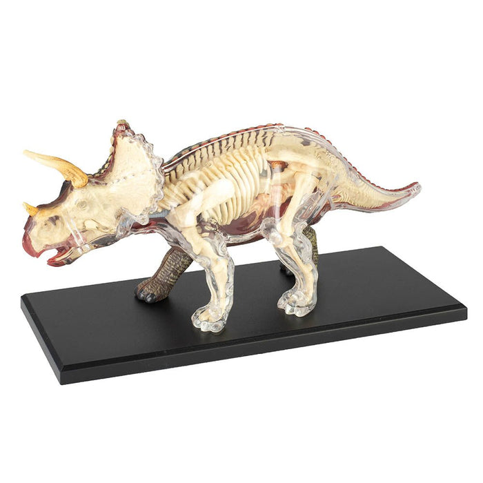4D Vision Triceratops Anatomy Model - Safari Ltd®