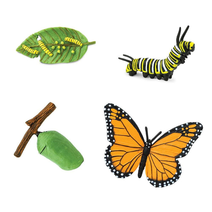My Butterfly Collection Animated in a Jar Monarch – SuperSmartChoices