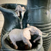 African Bull Elephant Toy - Safari Ltd®
