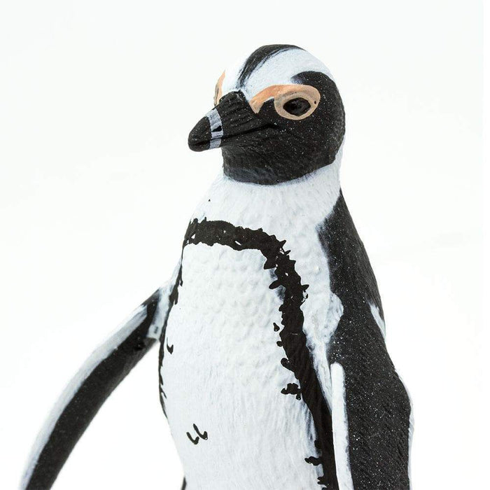 African Penguin Toy - Sea Life Toys by Safari Ltd.