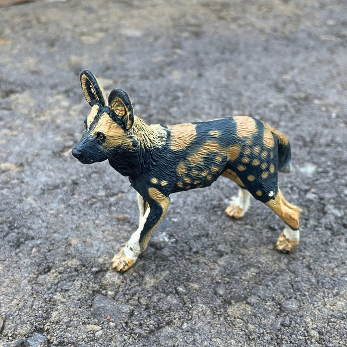 African Wild Dog Toy - Safari Ltd®