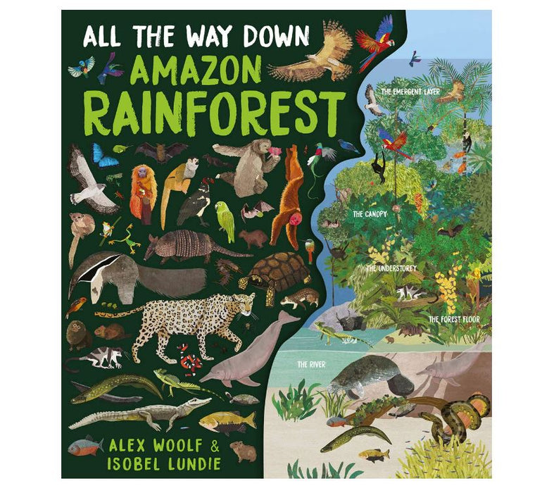 All the Way Down: Amazon Rainforest Book - Safari Ltd®