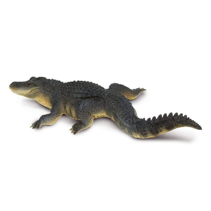 Alligator - Safari Ltd®