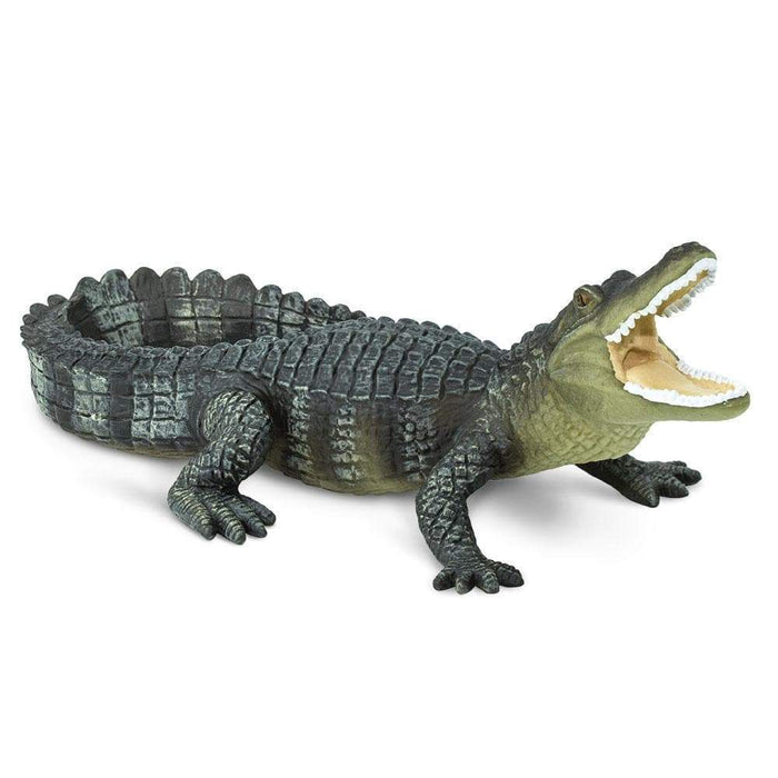 Alligator Toy | Wildlife Animal Toys | Safari Ltd.