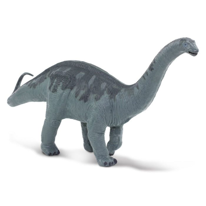 Apatosaurus Toy - Safari Ltd®